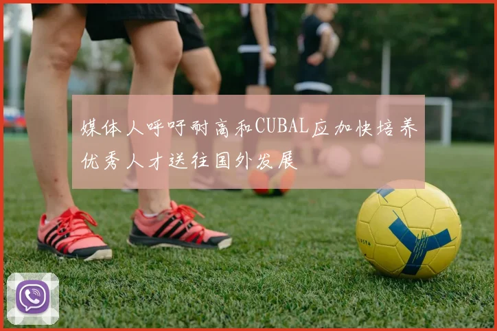 媒体人呼吁耐高和CUBAL应加快培养优秀人才送往国外发展