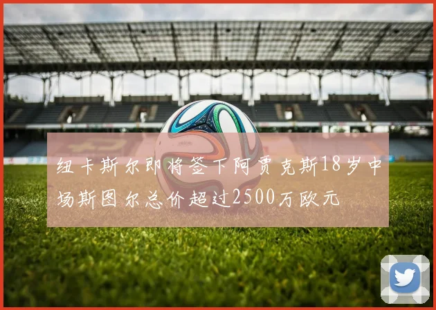 纽卡斯尔即将签下阿贾克斯18岁中场斯图尔总价超过2500万欧元