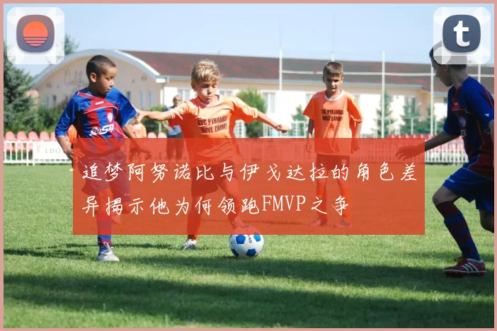 追梦阿努诺比与伊戈达拉的角色差异揭示他为何领跑FMVP之争